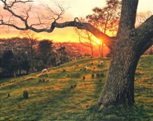 Painting of fields and sheep at sunset